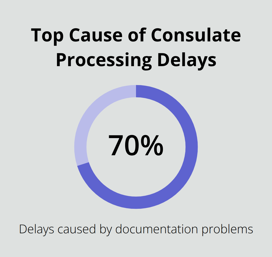 Chart highlighting that documentation problems account for the majority of consulate processing delays.